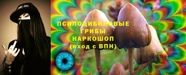 a pvp Алексеевка