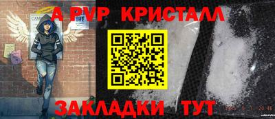 тгк Гай