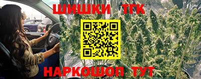 тгк Гай