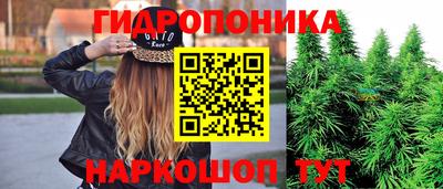 тгк Гай