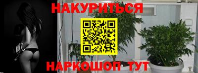 дурь Гатчина