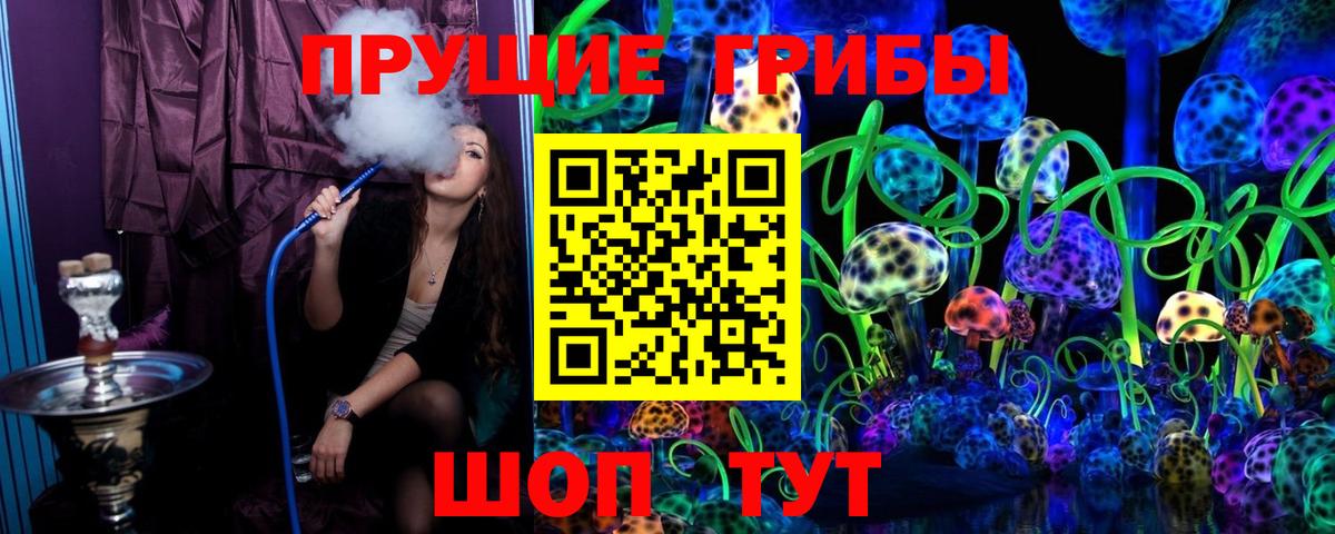 Ижевск  Галлюциногенные грибы прущие грибы  Вход с VPN 