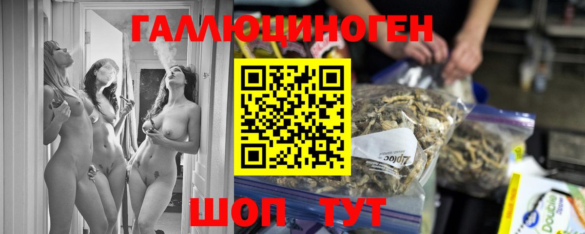 Псилоцибиновые грибы GOLDEN TEACHER Ижевск